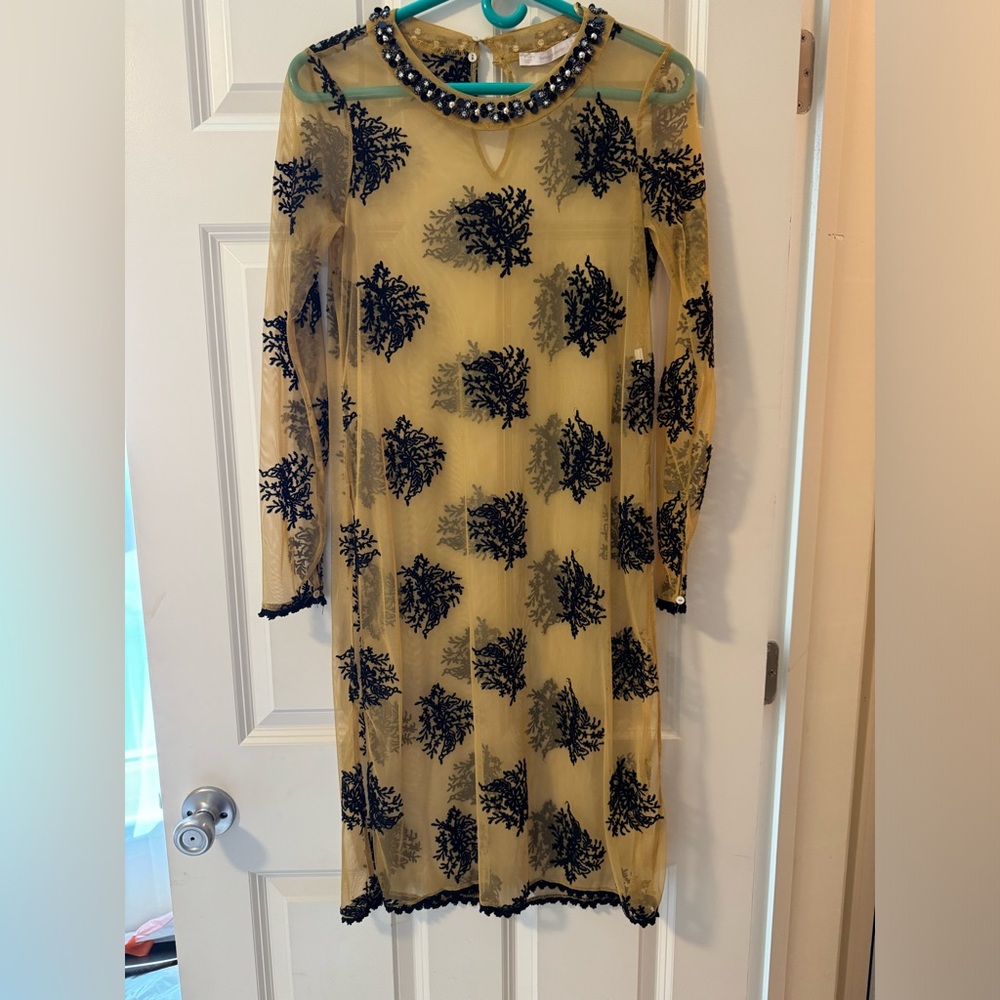 ‼️LAST CHANCE‼️ Zara Tulle Sheer Dress ‼️LAST CHANCE‼️